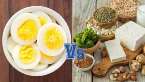 Plant-Powered Protein: 20 Vegetarian Foods That Outperform the Egg