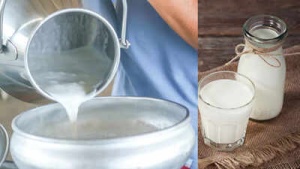 Raw Milk Dangers: Bacterial Risks, Foodborne Illnesses, and Vulnerable Populations