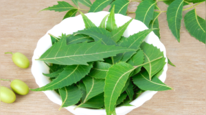 Boost Your Immunity: 5 Powerful Natural Antibiotics Hiding in Your Kitchen