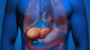 Headline:
High Blood Pressure: Are You Ignoring These 5 Silent Signs of Liver Damage?