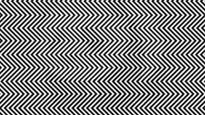 Optical Illusion: Only 1 in 10 people can find the hidden fox among lions! Are you one of them?