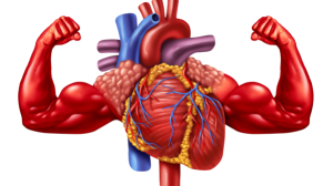 Heart-Healthy Habits: 5 Daily Practices Cardiologists Swear By