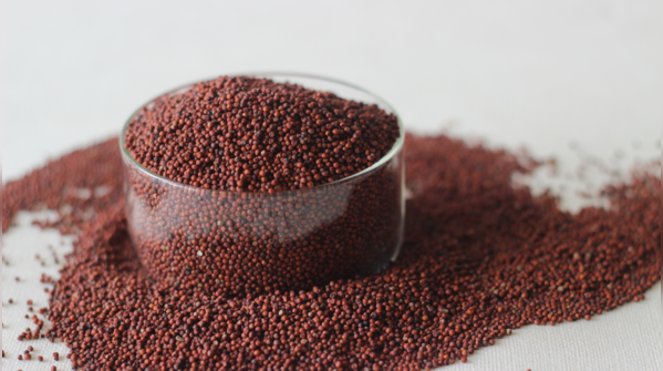 Ragi