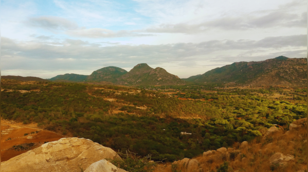 Horsley Hills