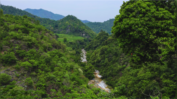 Ananthagiri Hills