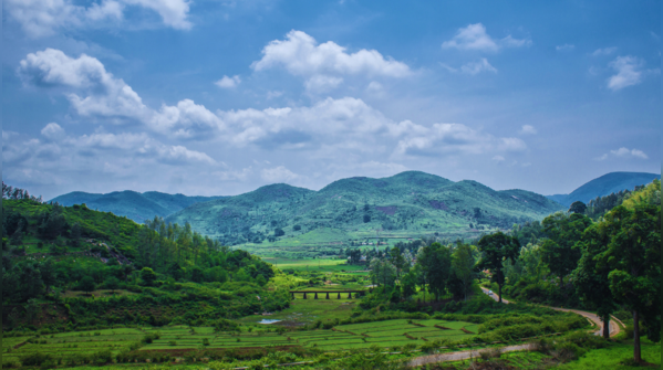 Paderu