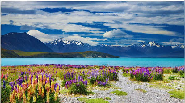 New Zealand