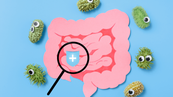 Protecting gut bacteria