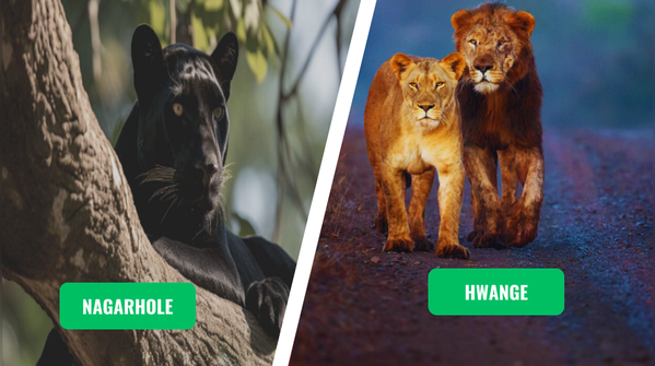 Nagarhole vs. Hwange