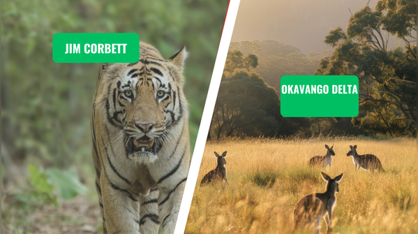 Jim Corbett vs. Okavango Delta