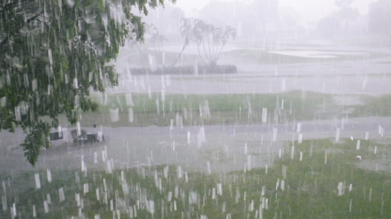earphones in rain (1)