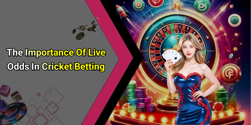 The Importance Of Live Odds In Cricket Betting