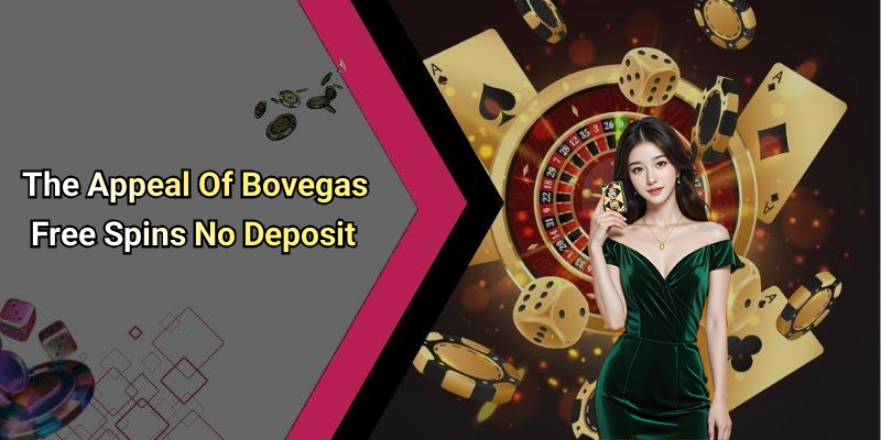The Appeal Of Bovegas Free Spins No Deposit
