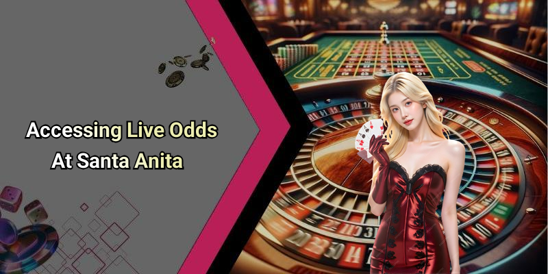 Accessing Live Odds At Santa Anita
