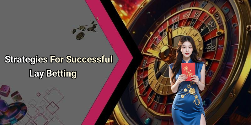 Strategies For Successful Lay Betting