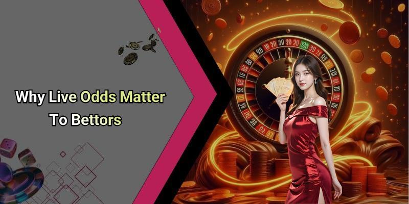 Why Live Odds Matter To Bettors