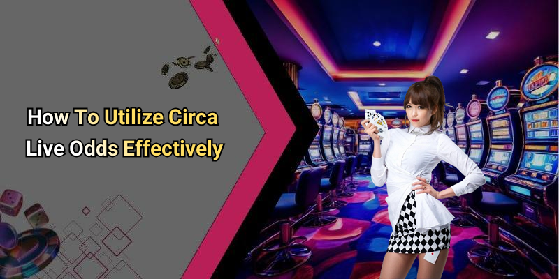 How To Utilize Circa Live Odds Effectively