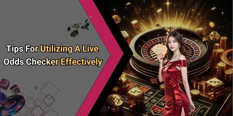 Tips For Utilizing A Live Odds Checker Effectively