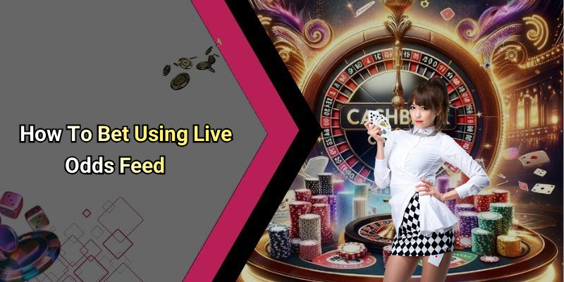 How To Bet Using Live Odds Feed